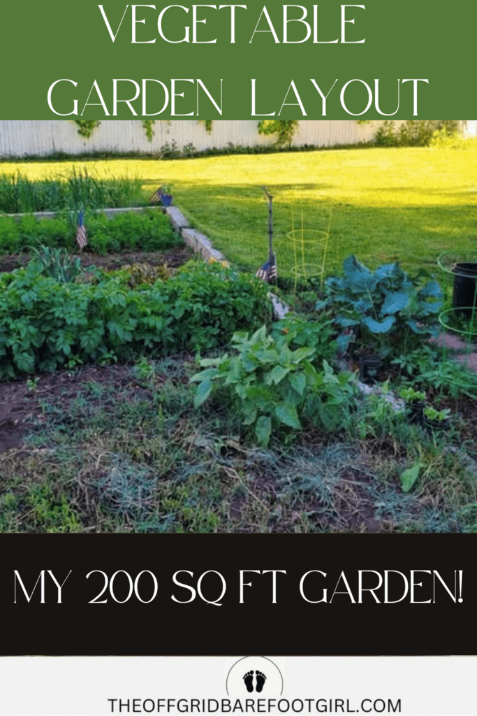 Image illustrates a vegetable garden layout.