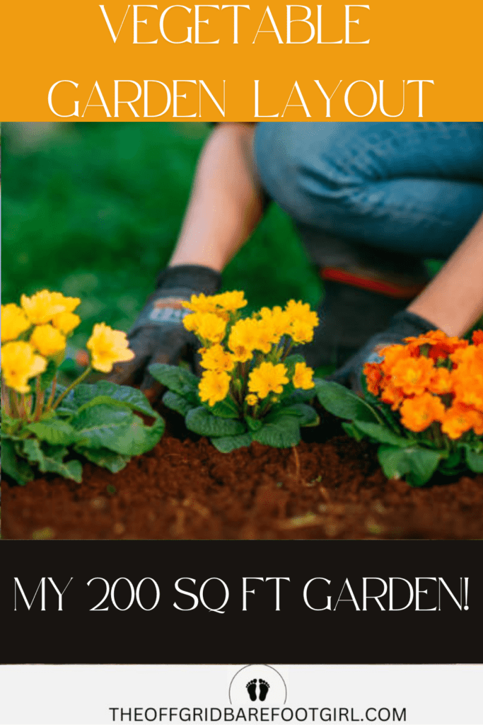 Image illustrates a vegetable garden layout.