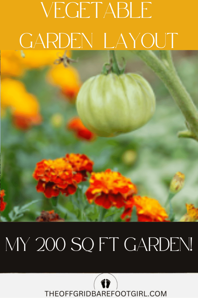 Image illustrates a vegetable garden layout.