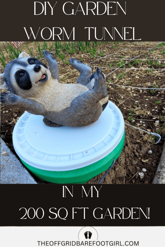 Image illustrates a vegetable garden layout.