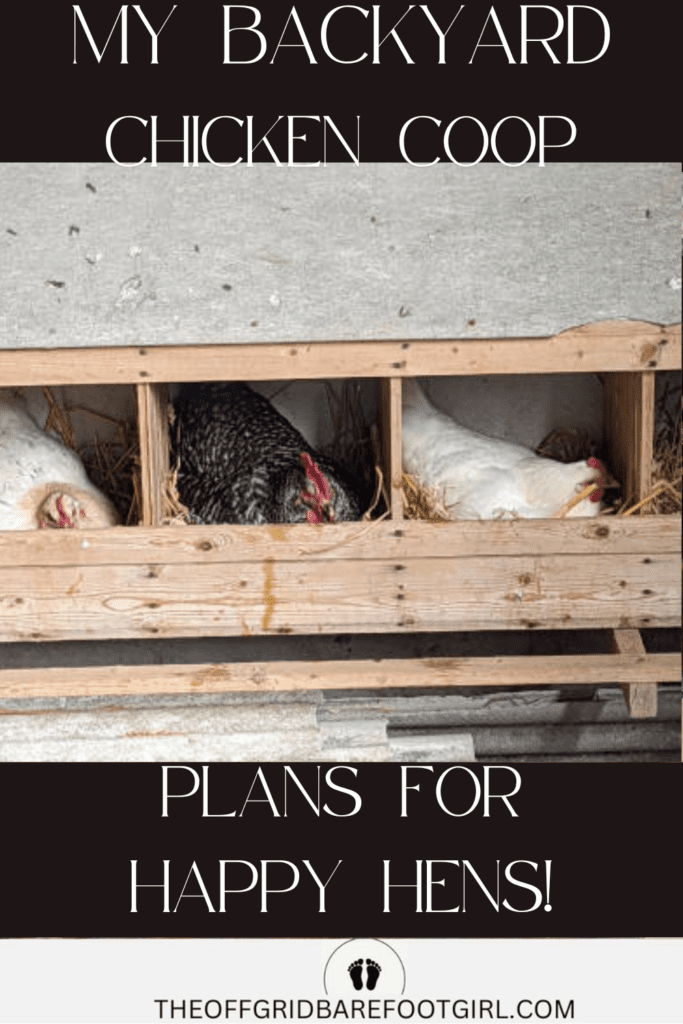 Image illustrates a backyard chicken coop.