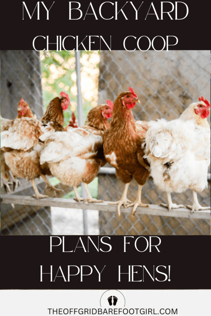 Image illustrates a backyard chicken coop.