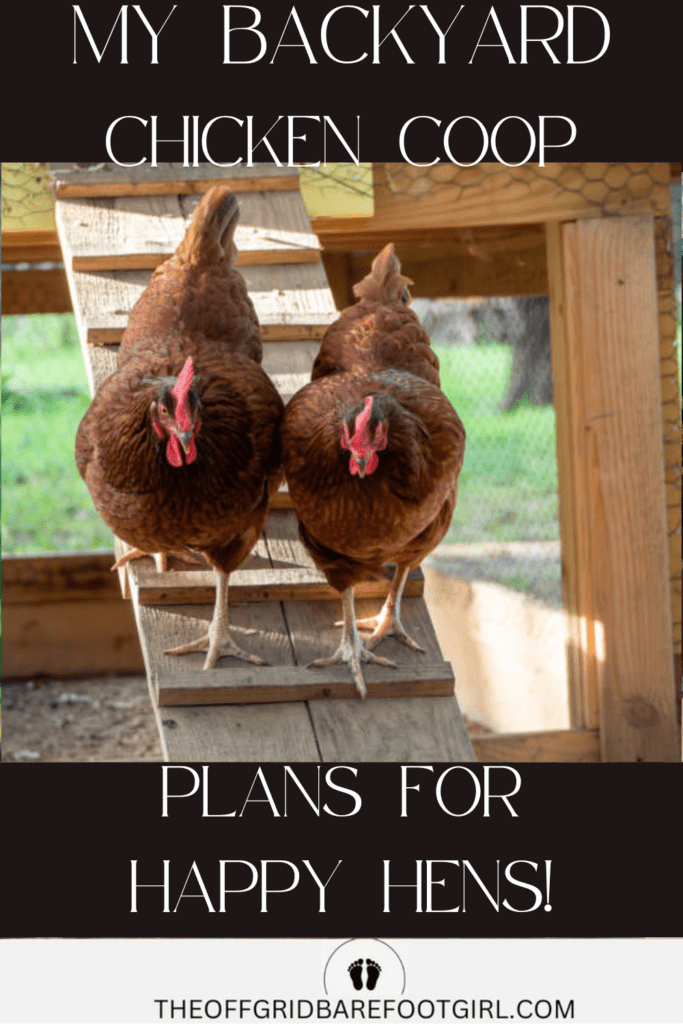 Image illustrates a backyard chicken coop.