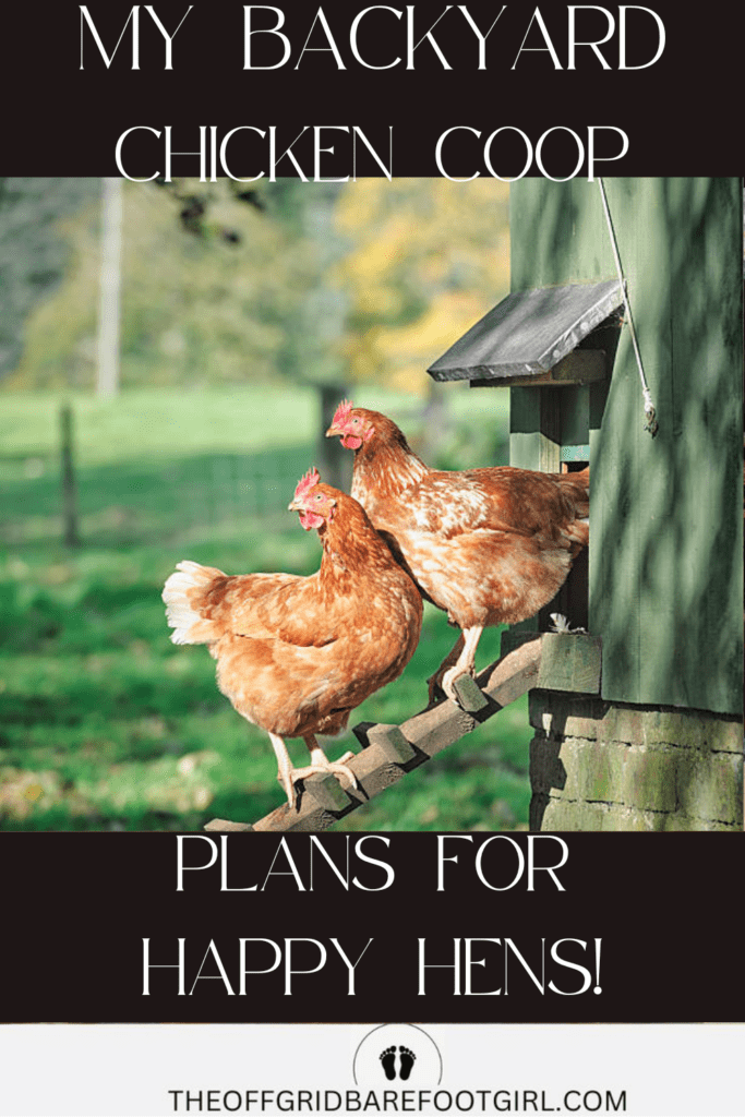 Image illustrates a backyard chicken coop.