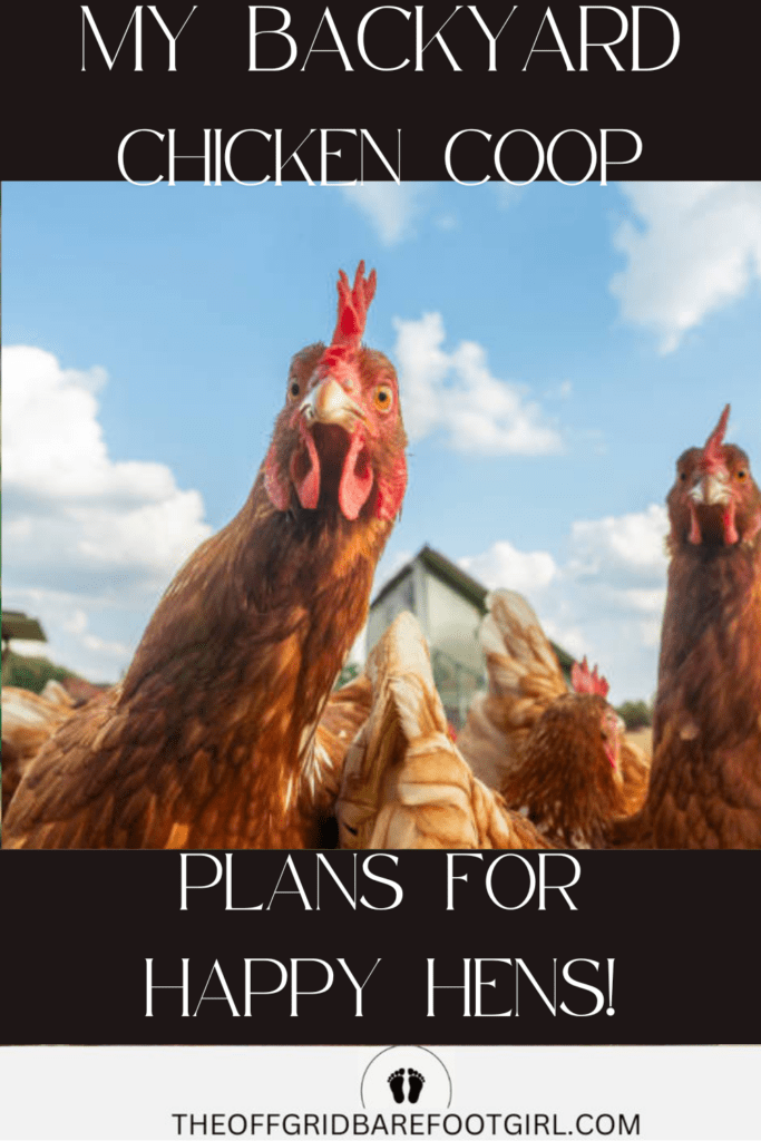 Image illustrates a backyard chicken coop.