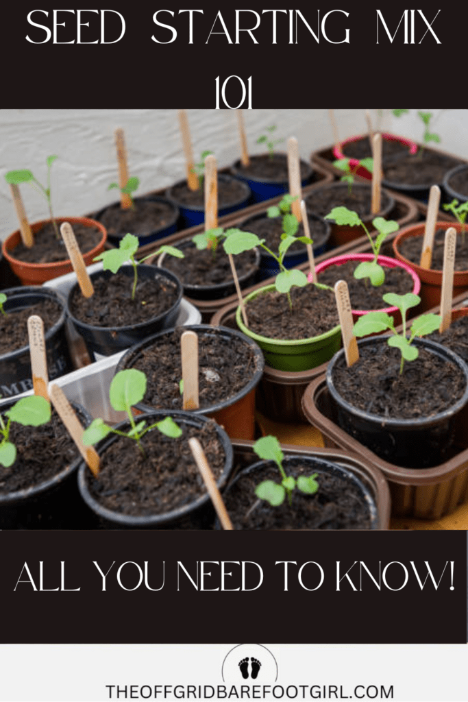 Image illustrates seed starting mix.