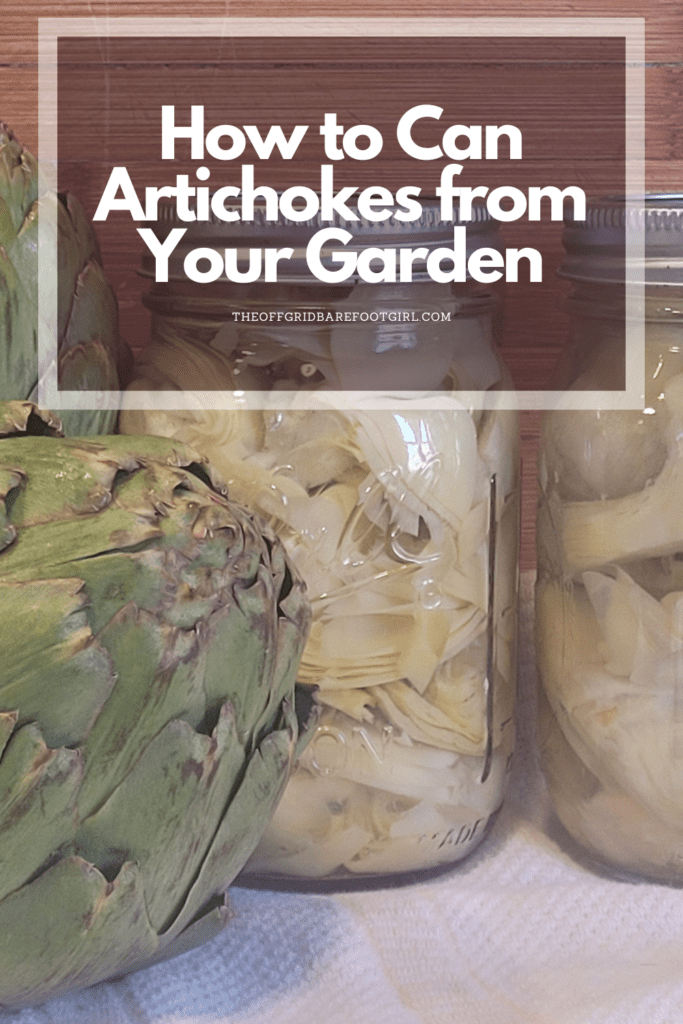 Image illustrates a Pinterest pin of canned artichokes for how to can artichokes.