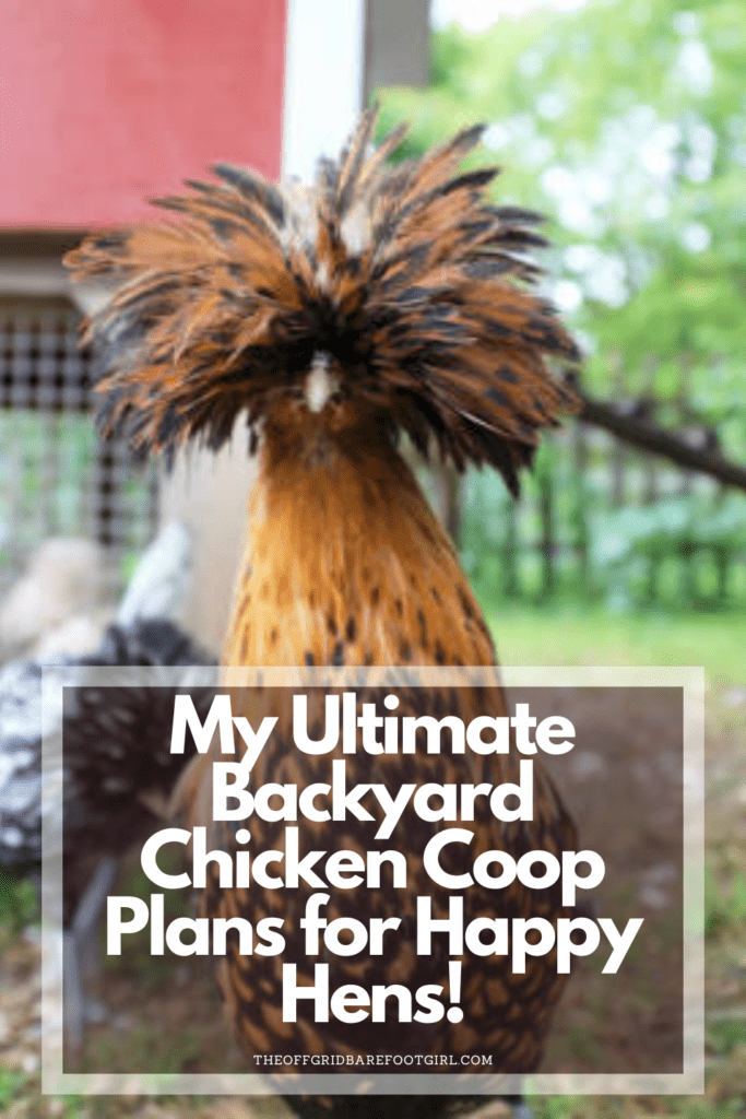 Image illustrates a Pinterest pin of a backyard chicken coop.