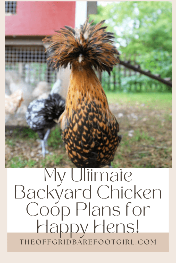 Image illustrates a Pinterest pin of a backyard chicken coop.