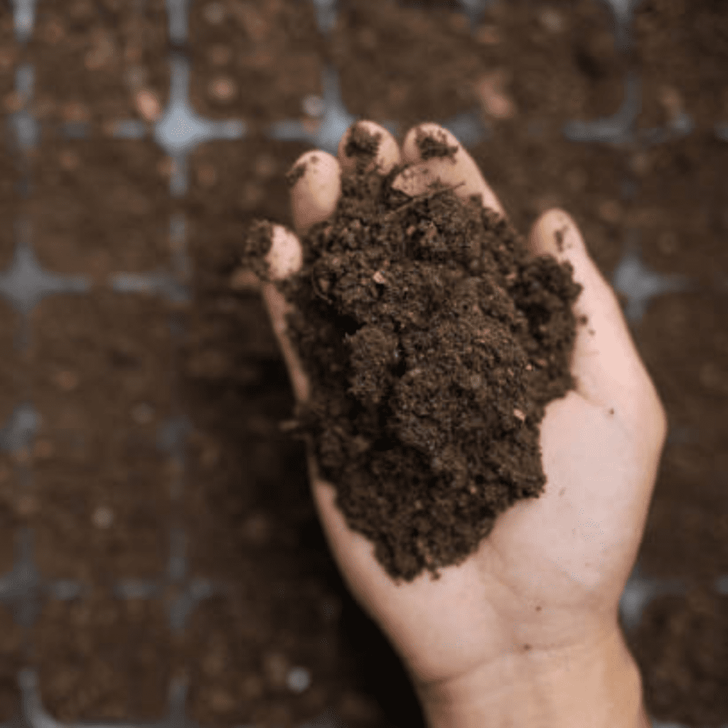 Image illustrates a seed starting mix.