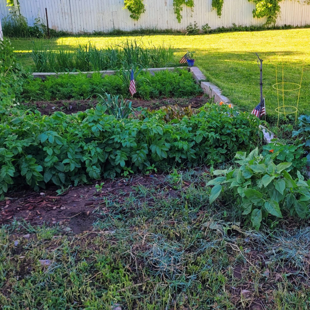 Image illustrates a vegetable garden layout.