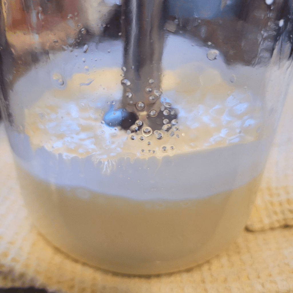 Image illustrates homemade mayonnaise.
