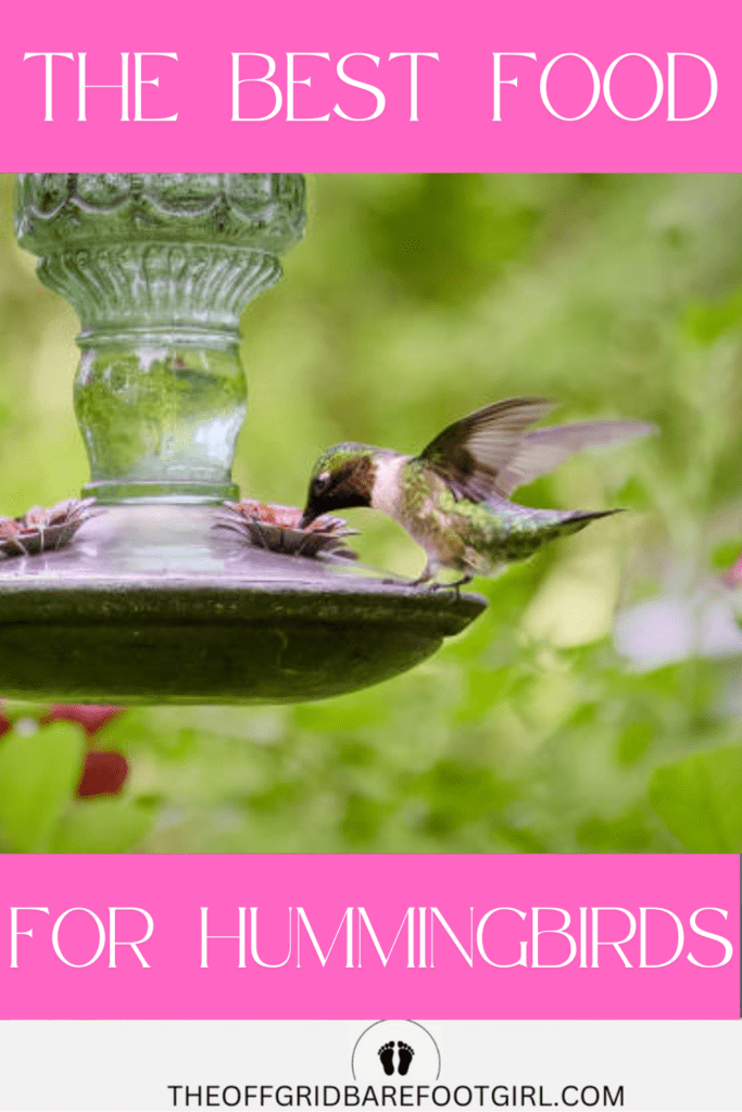 Image illustrates hummingbird recipe food.