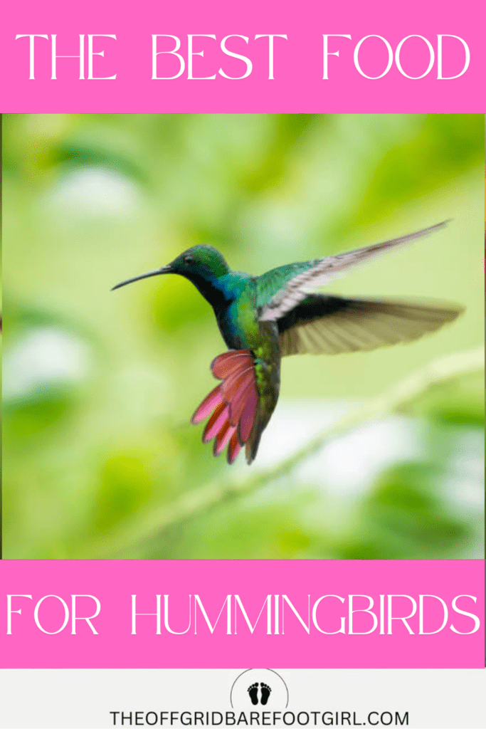 Image illustrates hummingbird recipe food.