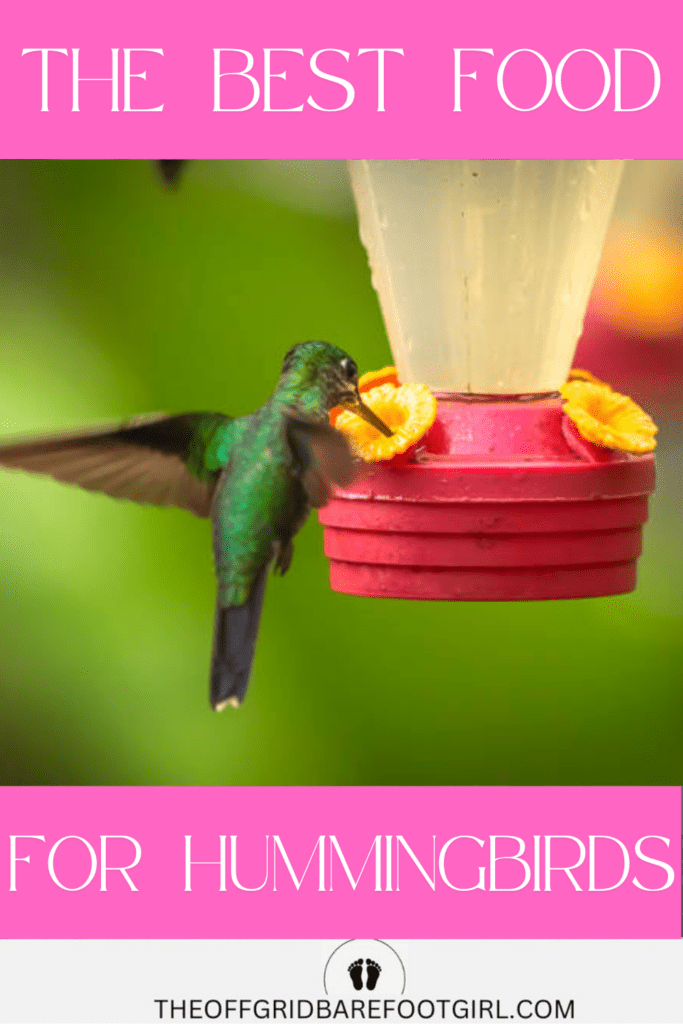 Image illustrates hummingbird recipe food.