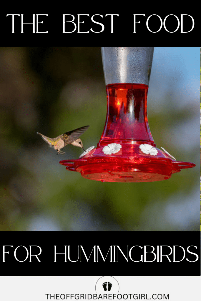 Image illustrates hummingbird recipe food.