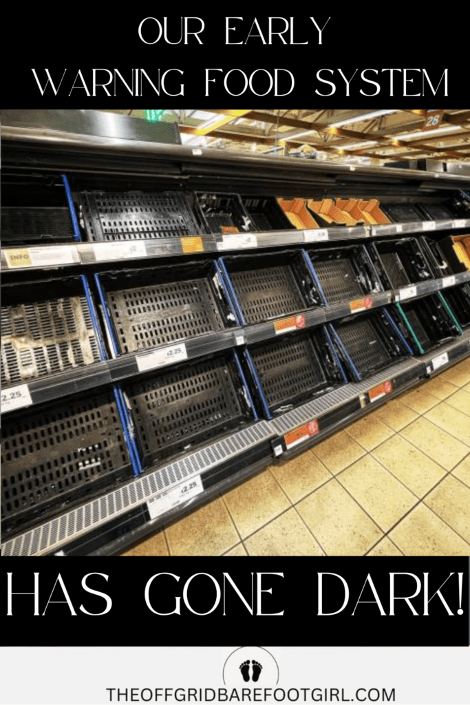 Image illustrates an empty grocery store demonstrating the famine early warning system failure.
