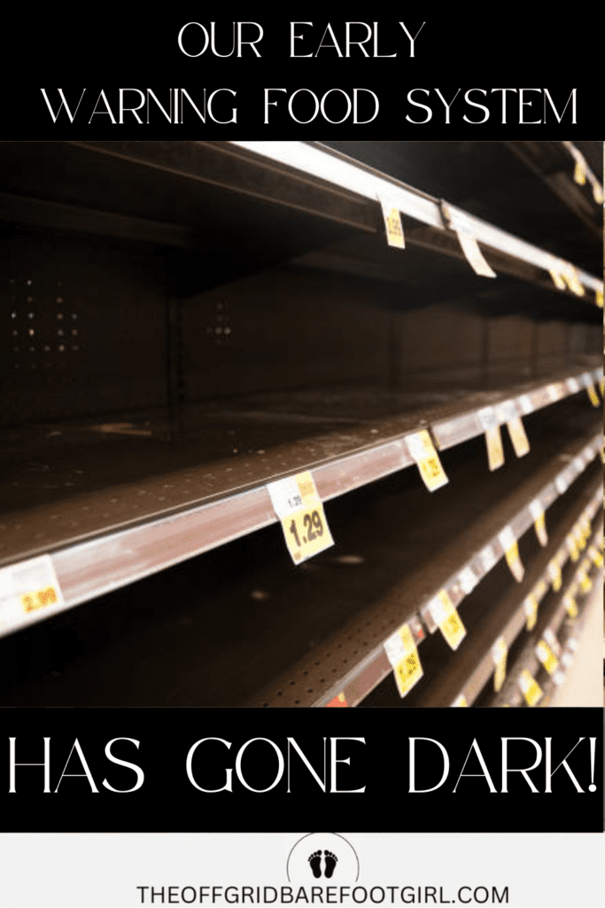 Image illustrates an empty grocery store demonstrating the famine early warning system failure.
