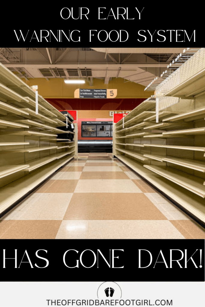 Image illustrates an empty grocery store demonstrating the famine early warning system failure.
