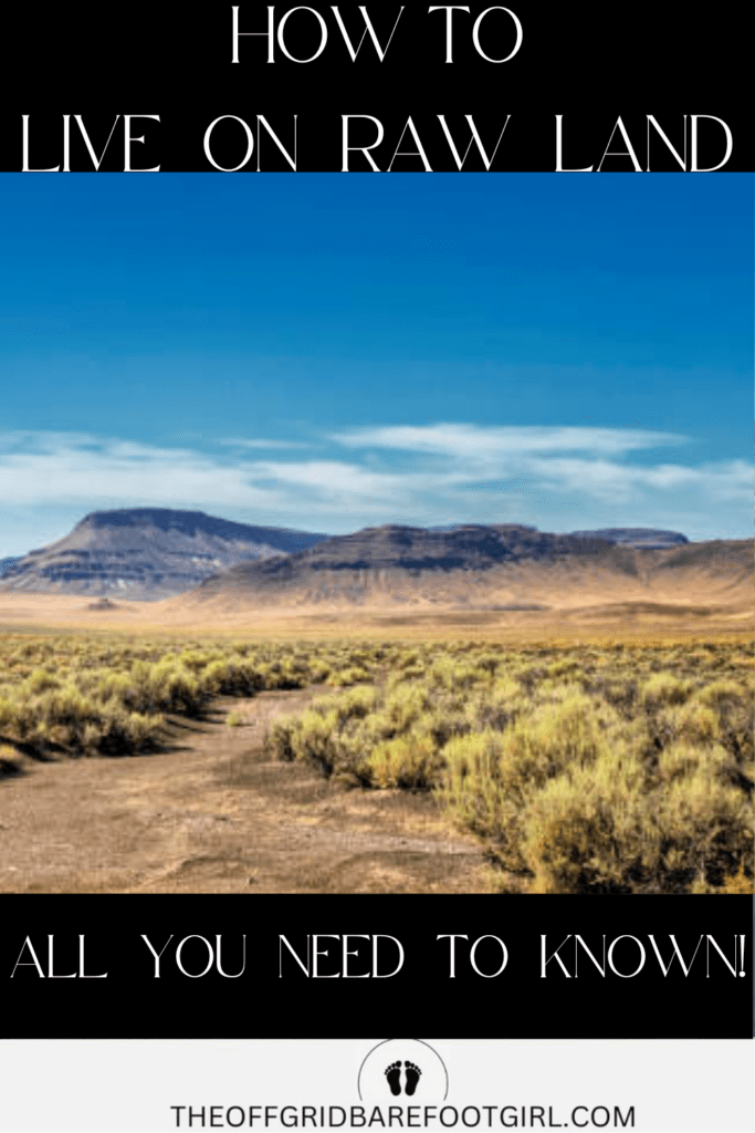 Image illustrates raw land in the high desert demonstrating how to live on raw land.
