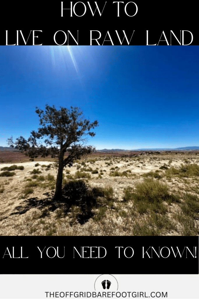 Image illustrates raw land in the high desert demonstrating how to live on raw land.
