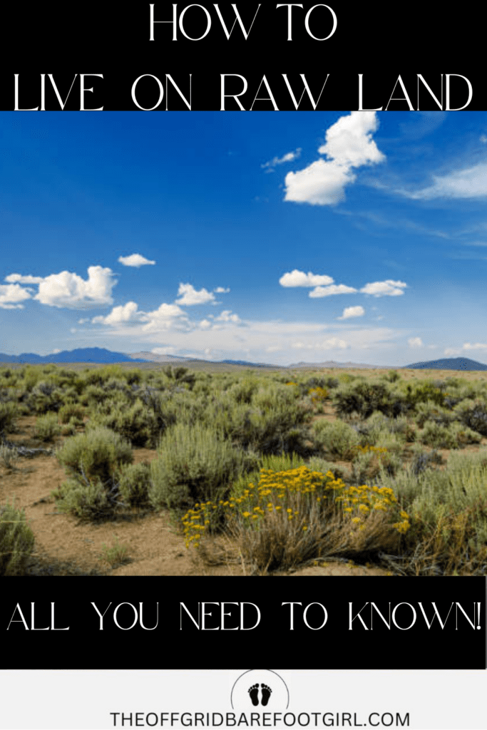 Image illustrates raw land in the high desert demonstrating how to live on raw land.
