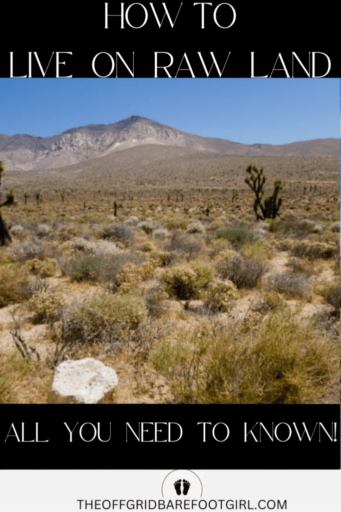 Image illustrates raw land in the high desert demonstrating how to live on raw land.
