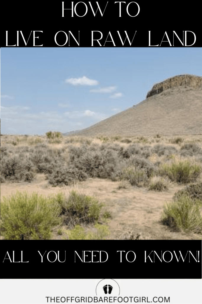 Image illustrates raw land in the high desert demonstrating how to live on raw land.
