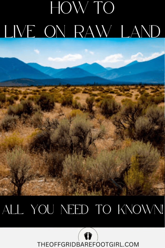 Image illustrates raw land in the high desert demonstrating how to live on raw land.
