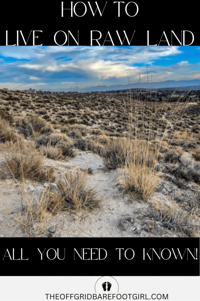 Image illustrates raw land in the high desert demonstrating how to live on raw land.
