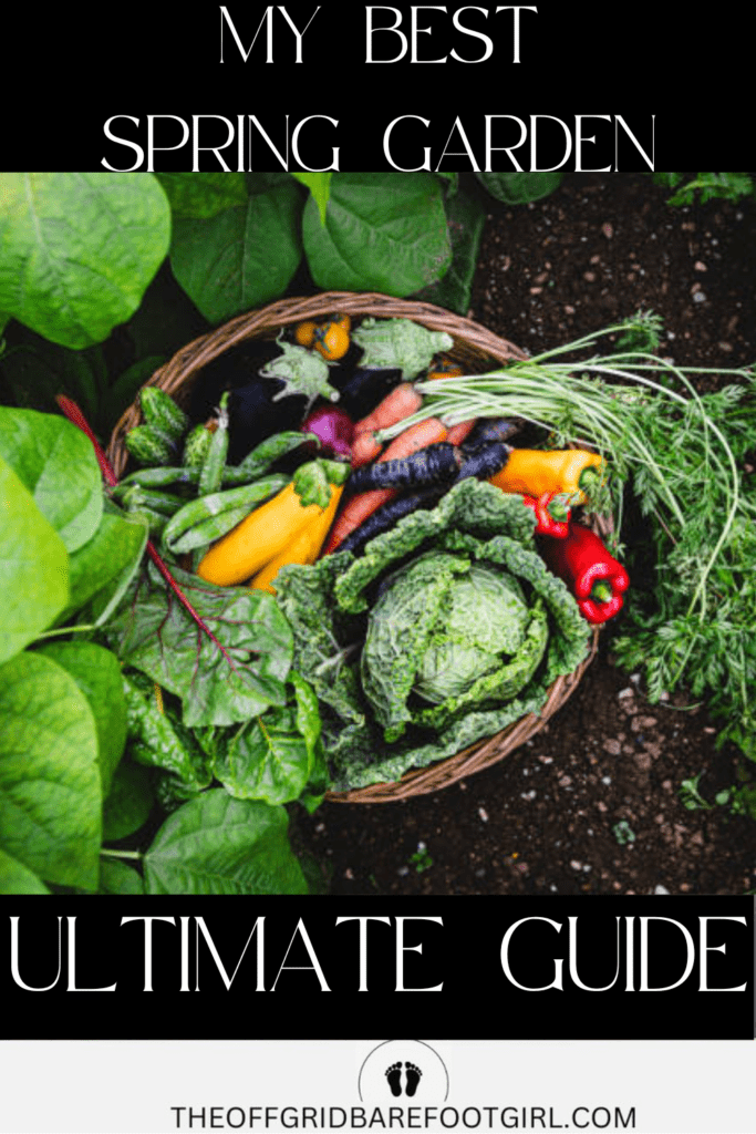 Image illustrates a spring garden.