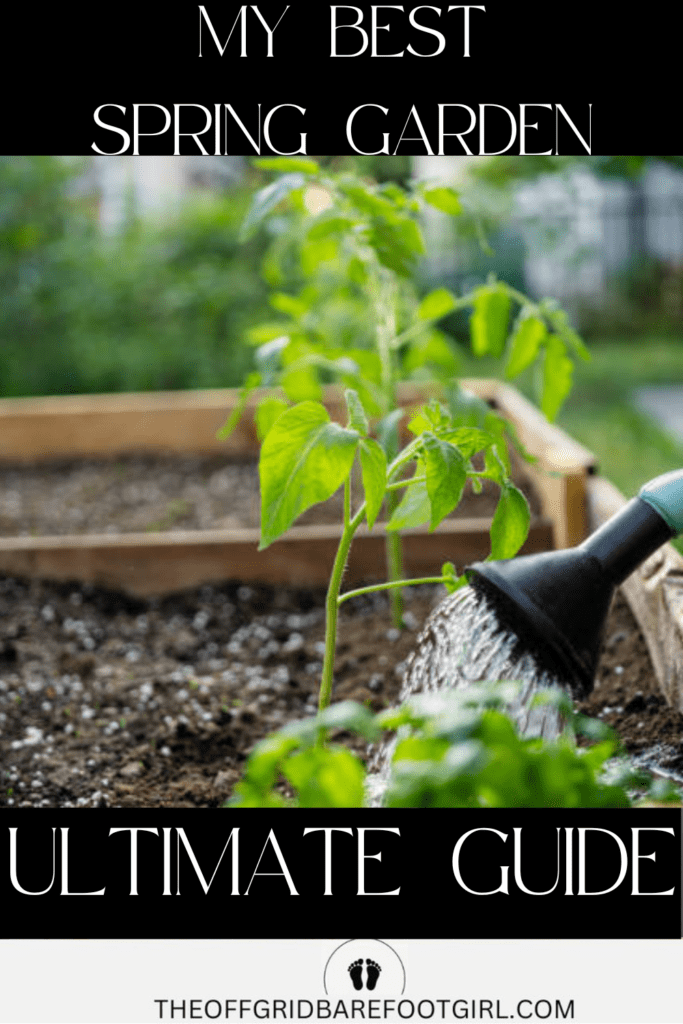 Image illustrates a spring garden.