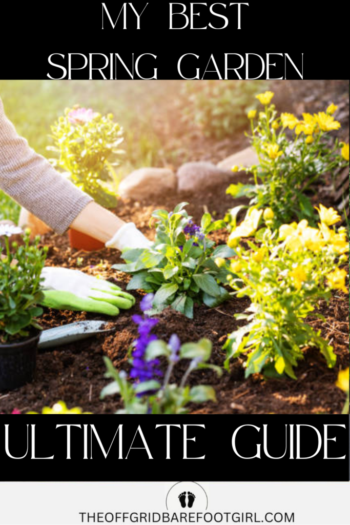 Image illustrates a spring garden.