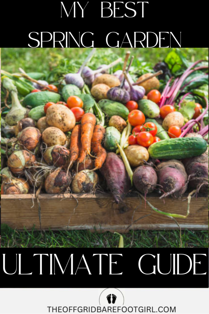 Image illustrates a spring garden.