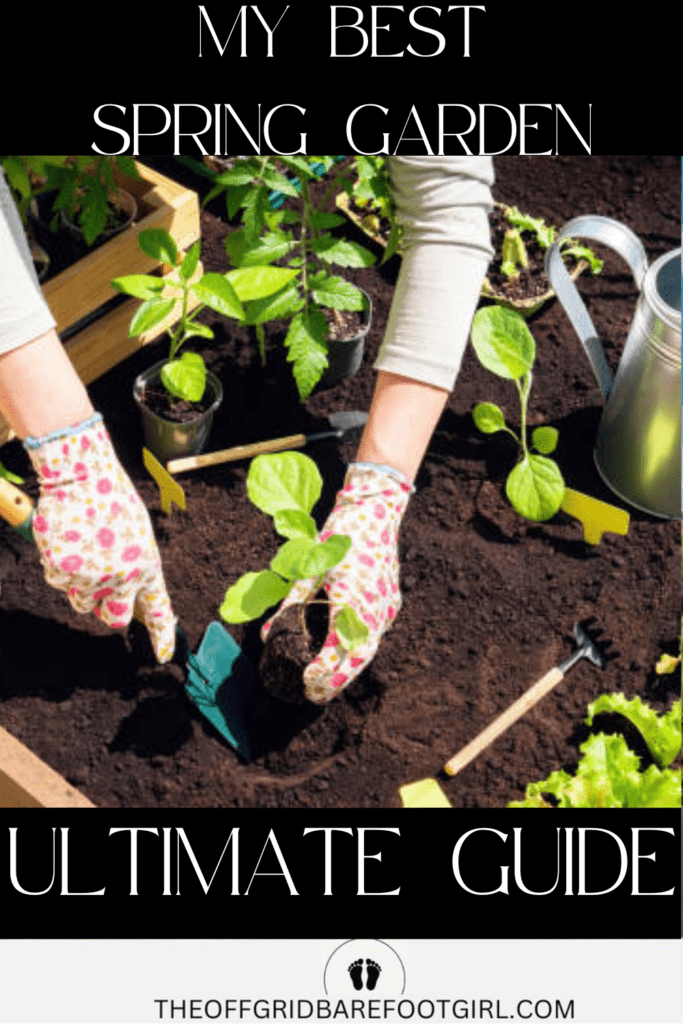 Image illustrates a spring garden.