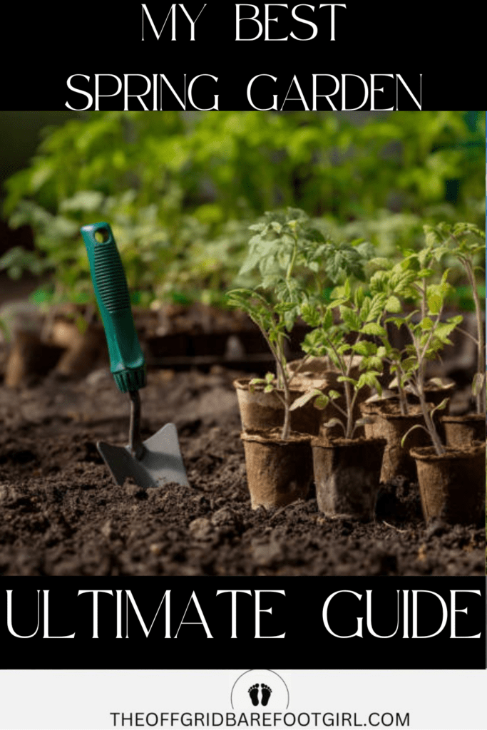 Image illustrates a spring garden.