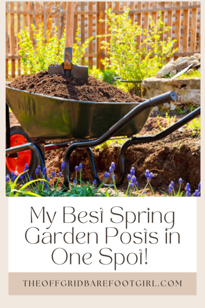 Image illustrates a Pinterest pin of a spring garden.