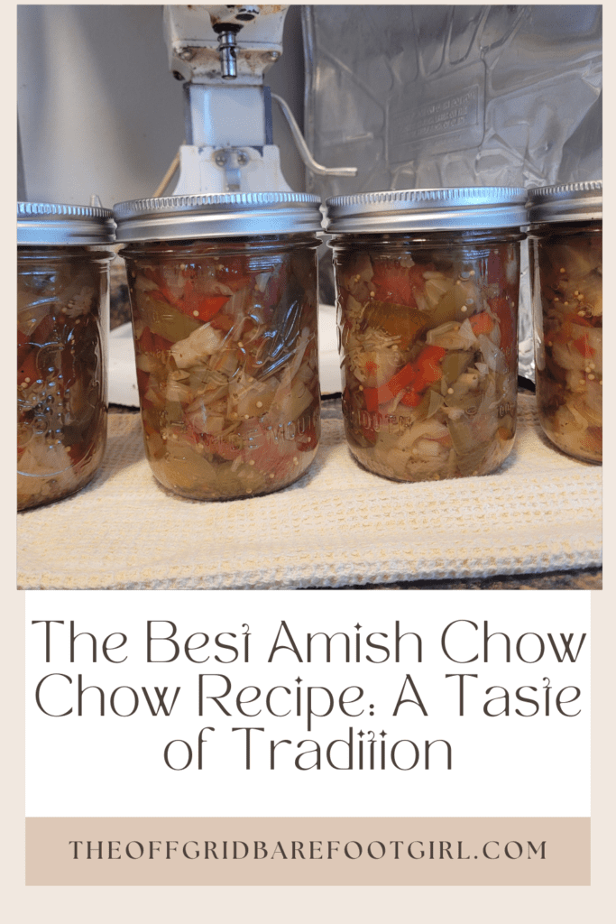 Image illustrates a Pinterest pin of Amish Chow Chow.