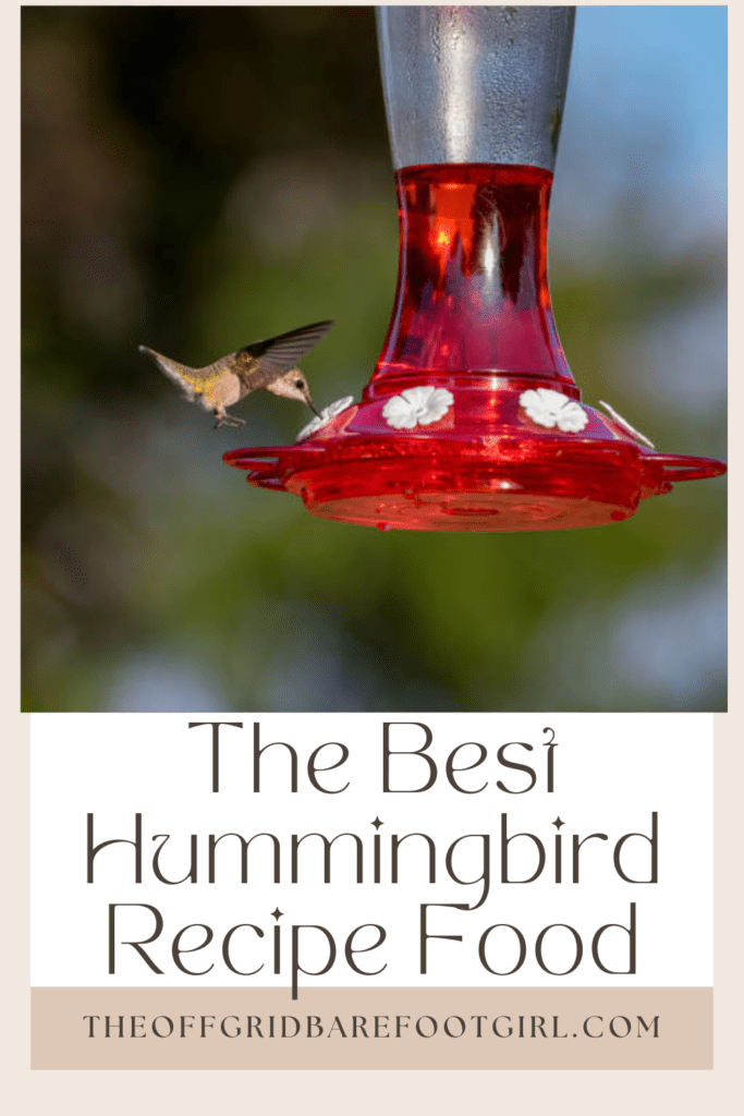 Image illustrates a Pinterest pin of hummingbird recipe food.