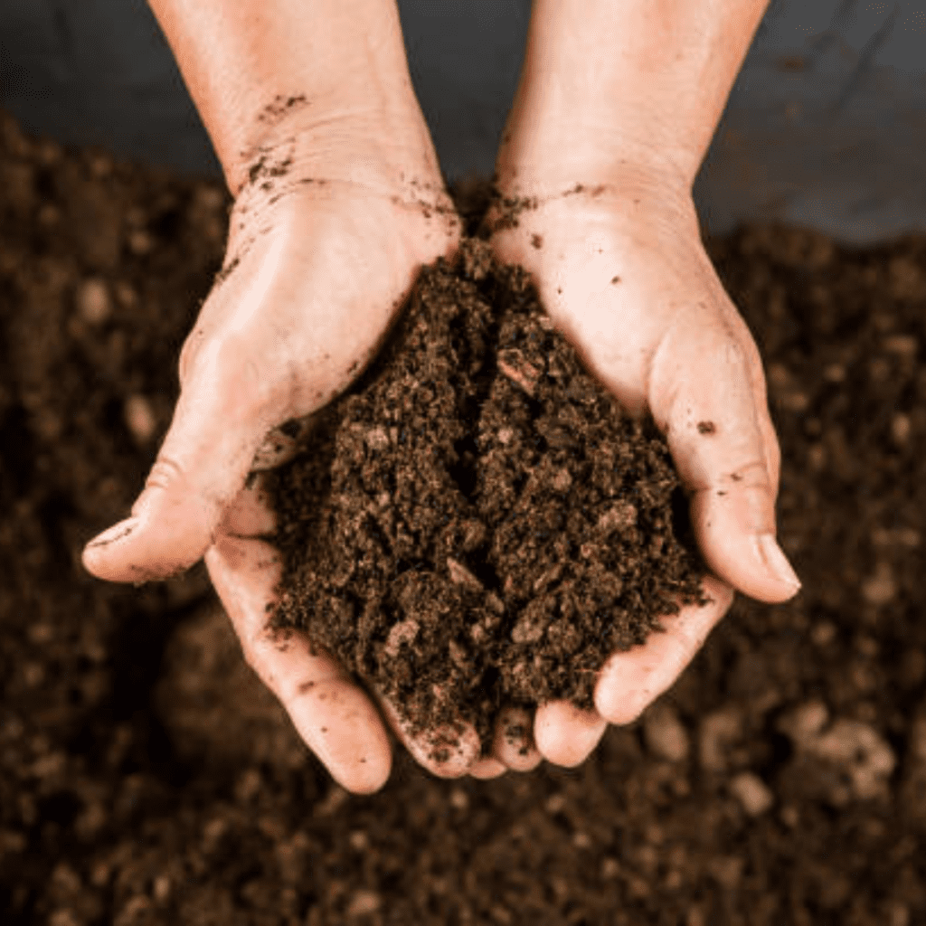 Image illustrates soil for a spring garden.