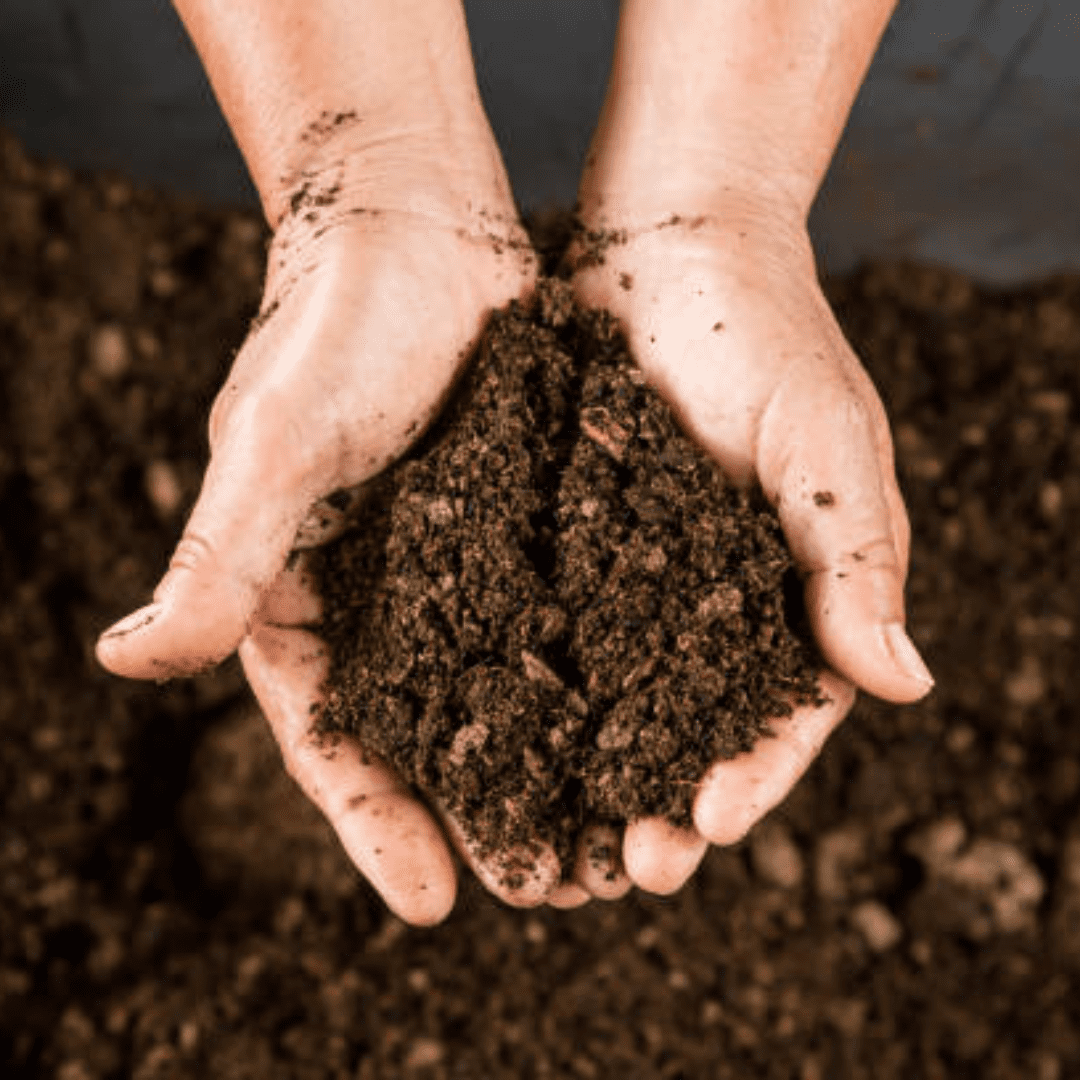 Spring Garden Soil Prep: How to Improve Your Soil