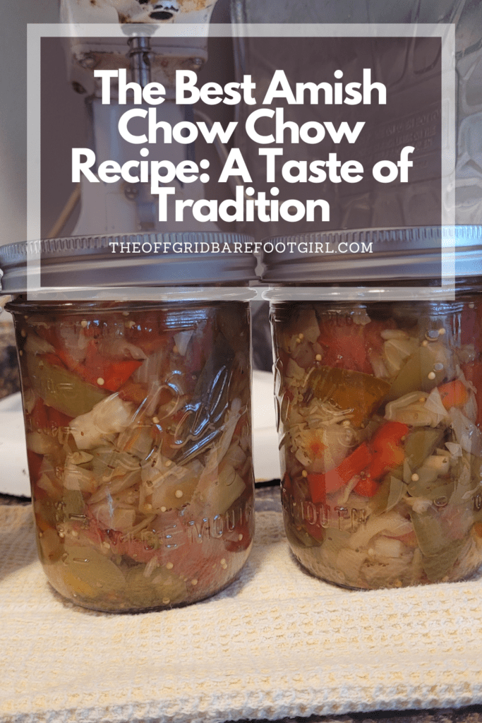 Image illustrates a Pinterest pin of Amish Chow Chow.