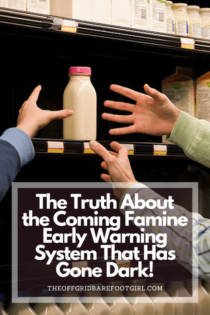 Image illustrates a Pinterest pin of an empty grocery store demonstrating the famine early warning system failure.
