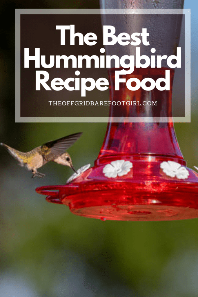 Image illustrates a Pinterest pin of hummingbird recipe food.