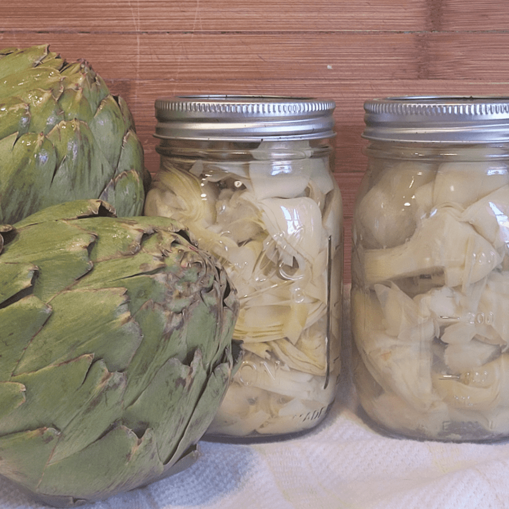 Image illustrates canned artichokes.