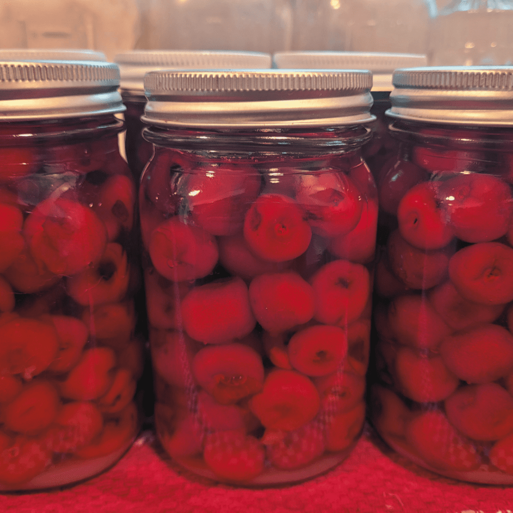 Image illustrates canning whole cherries.