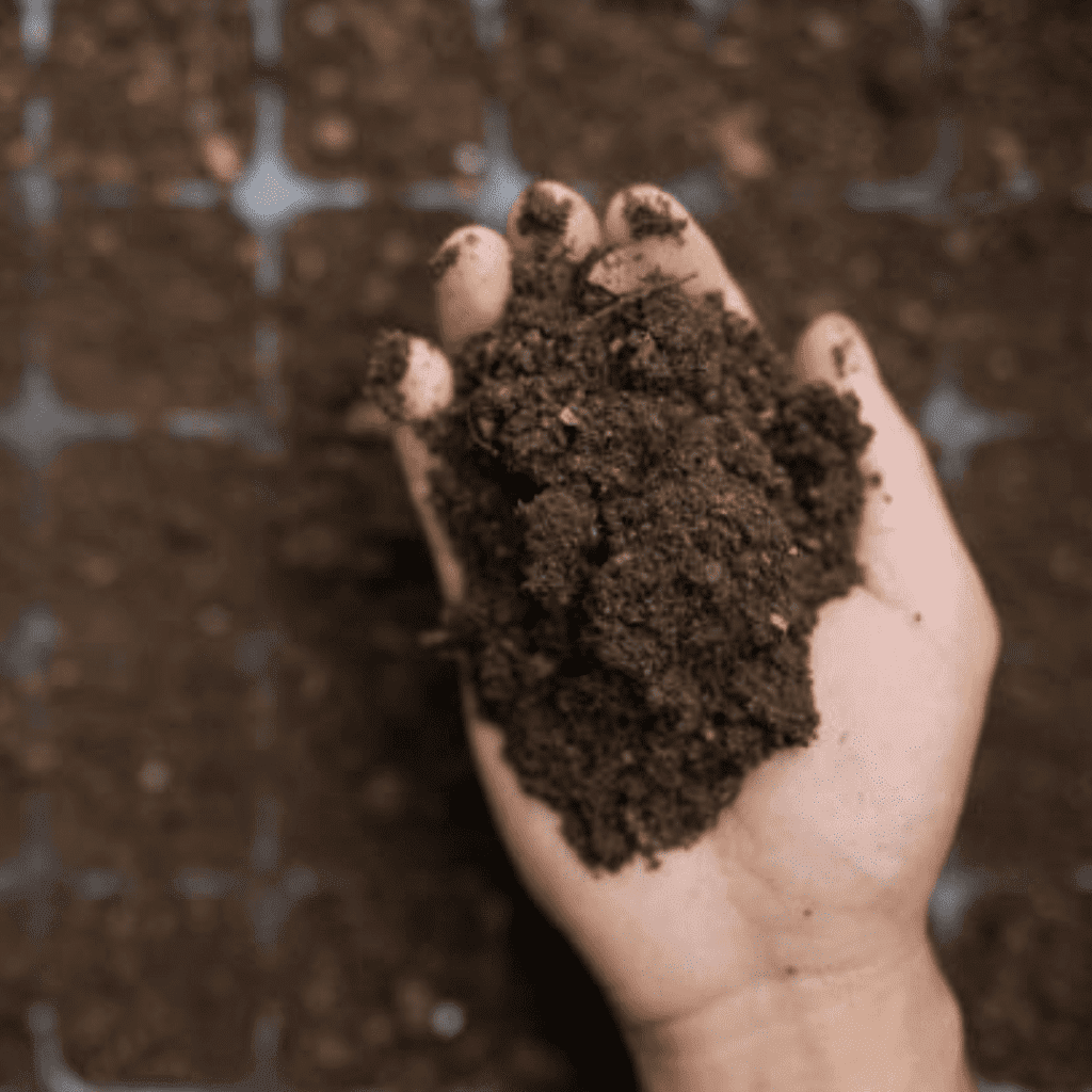 Image illustrates seed starting mix.