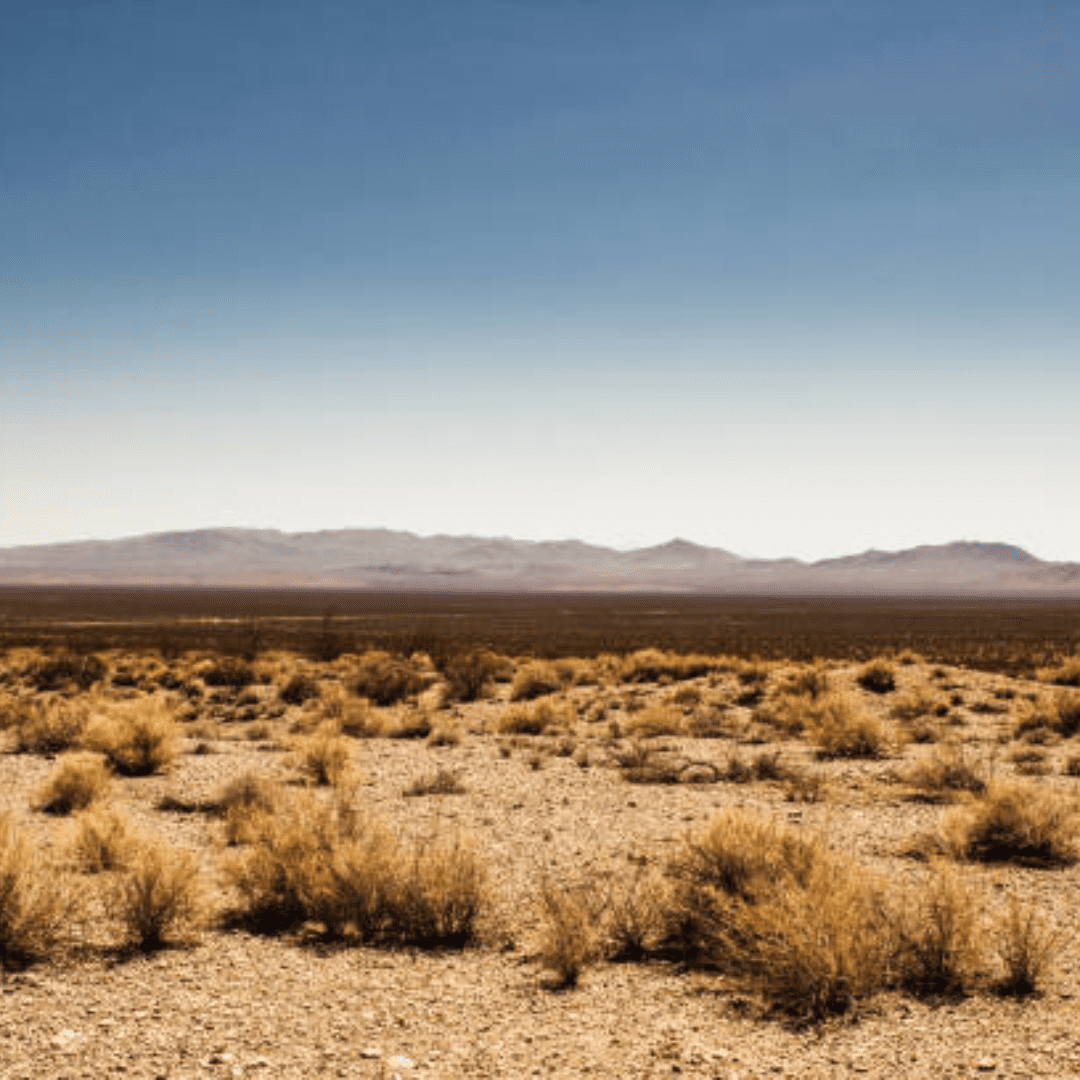 Image illustrates raw land in the high desert demonstrating how to live on raw land.