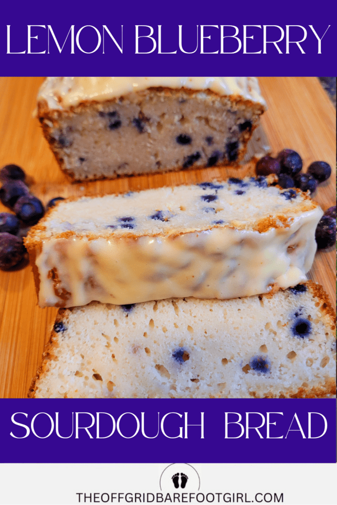 Image illustrates lemon blueberry sourdough quick bread.