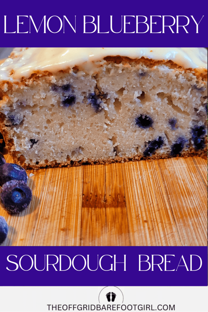 Image illustrates lemon blueberry sourdough quick bread.